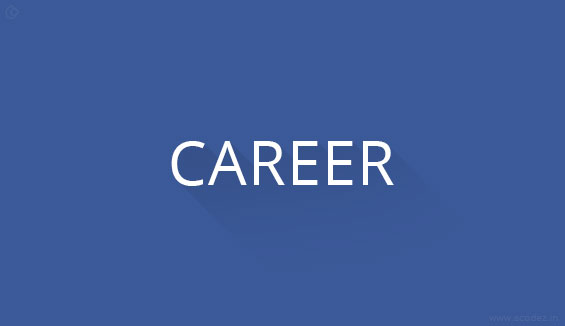 Career Opportunities for web designers