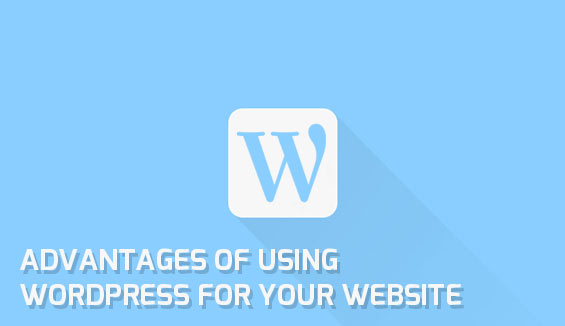 Advantages of using WordPress for your website