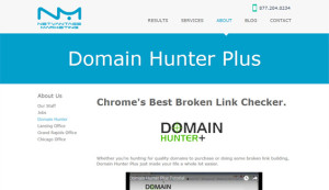 domain name seo checker