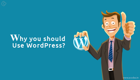 25 Top Advantages of using WordPress for Your Website