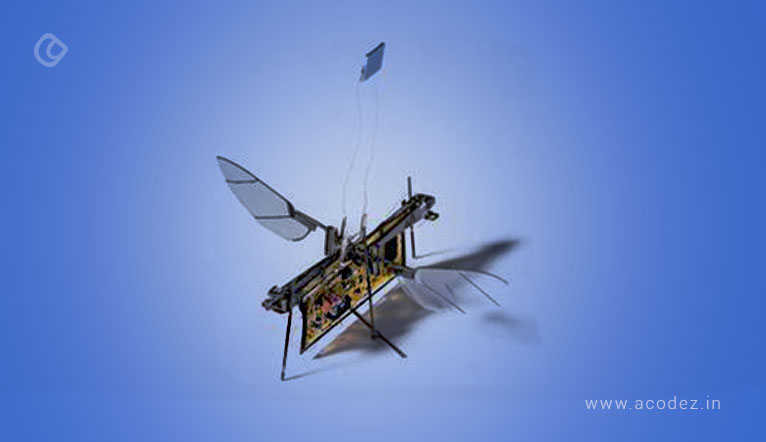 Insect Robotic Drone Technology The Future Of Drones