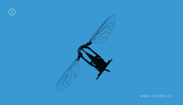 Insect Robotic Drone Technology The Future Of Drones