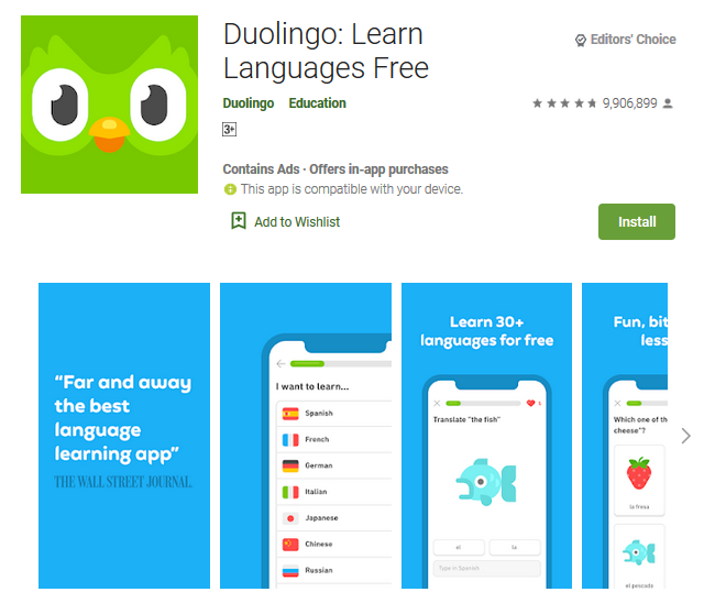 duolingo learn spanish french and other languages for free