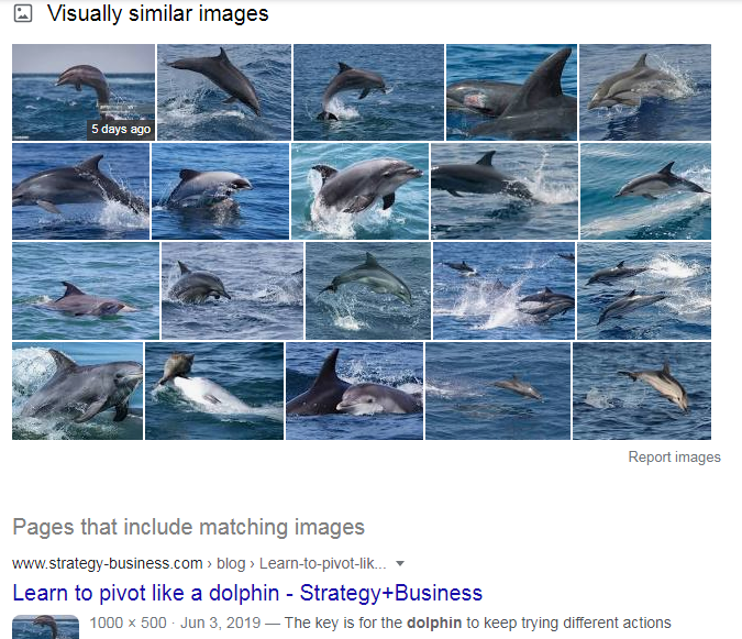 google-search-by-images
