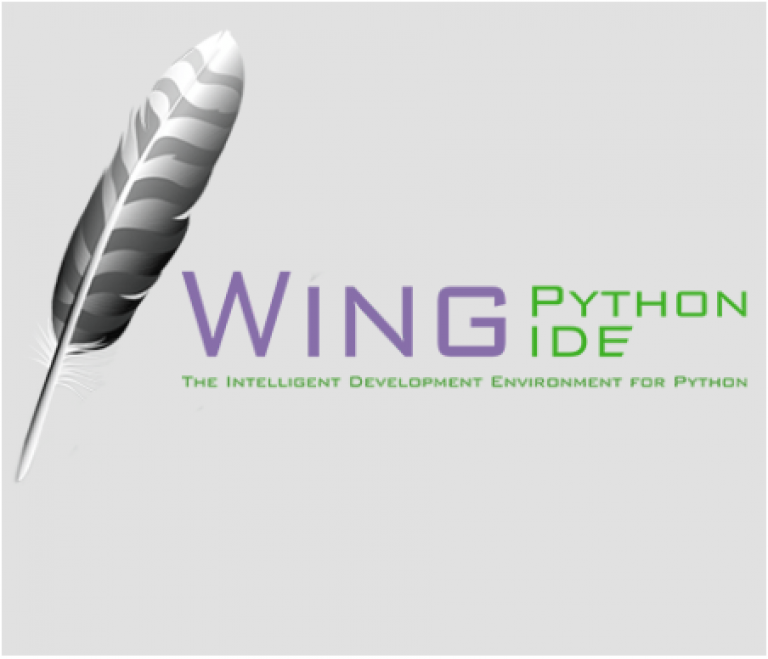 Wing python