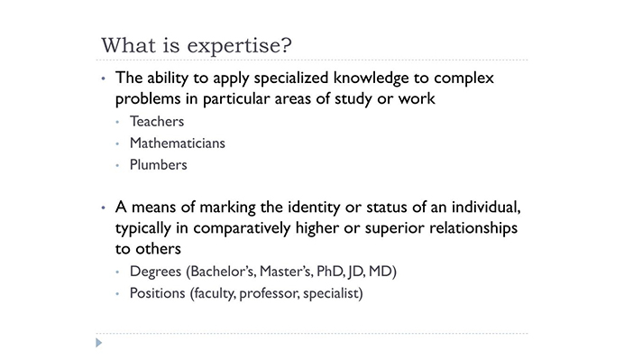 Expertise meaning