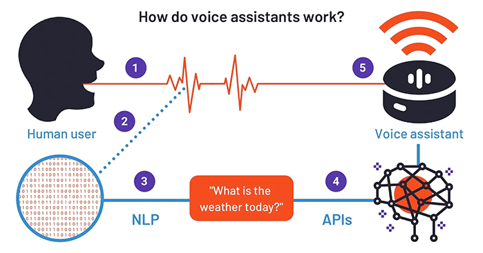 How-Voice-Assistants-Work